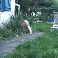 Camping Le Criquet