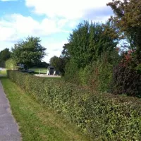 bandholm-camping-bandholm-ltsxm