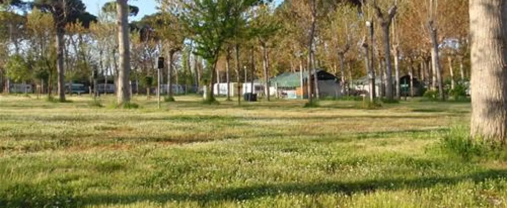 Camping Bosco Verde