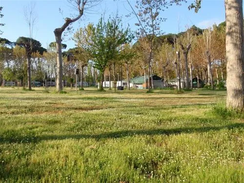 camping-bosco-verde-torre-del-lago-puccini-ocnzr