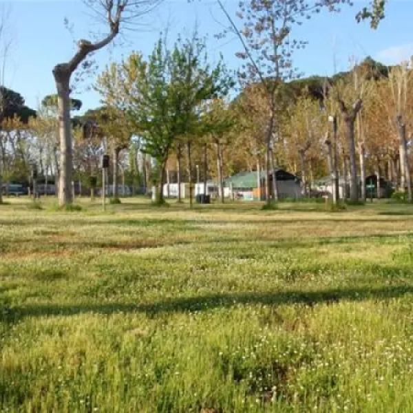 camping-bosco-verde-torre-del-lago-puccini-ocnzr