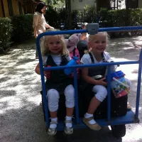 camping-bosco-verde-torre-del-lago-puccini-wvzcm