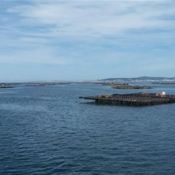 camping-monte-cabo-noallasanxenxo-qusvi