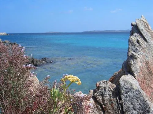 campeggio-isola-dei-gabbiani-palau-p2g8u