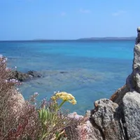 campeggio-isola-dei-gabbiani-palau-p2g8u