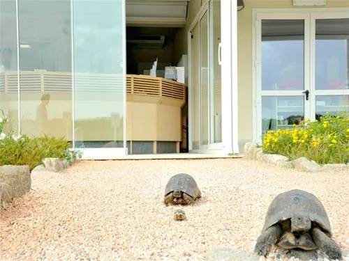 campeggio-isola-dei-gabbiani-palau-z5csx