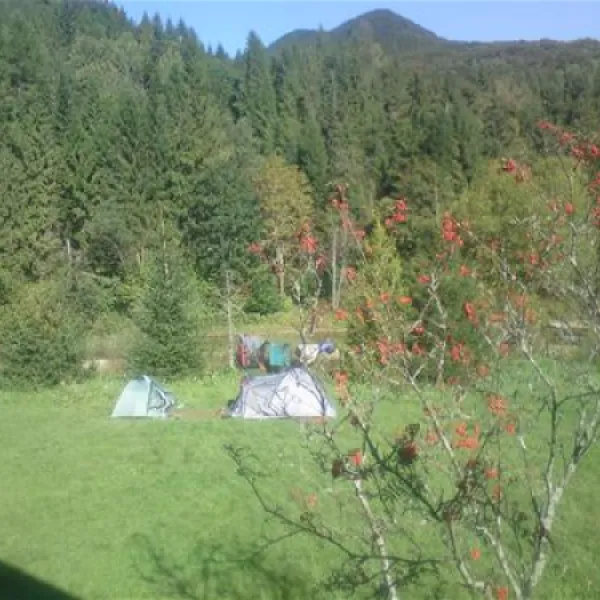 camping-hotel-gorski-nr-150-lutowiska-rdqxa