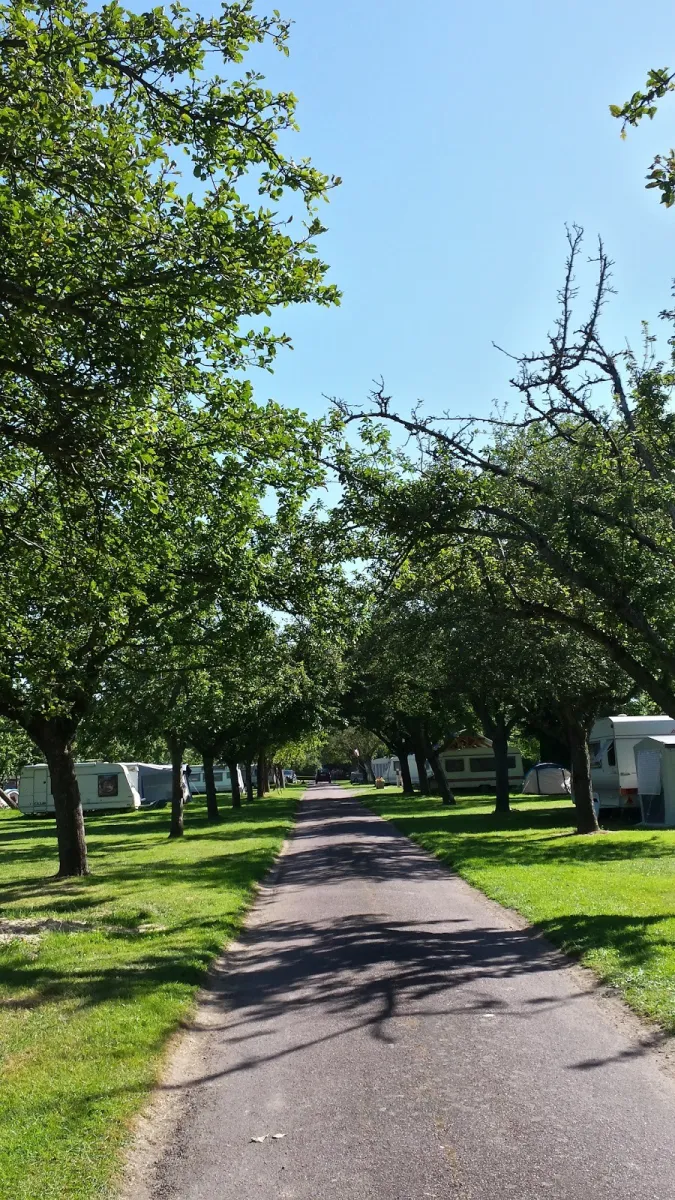 camping-aire-naturelle-de-legrix-reux-nfd9a