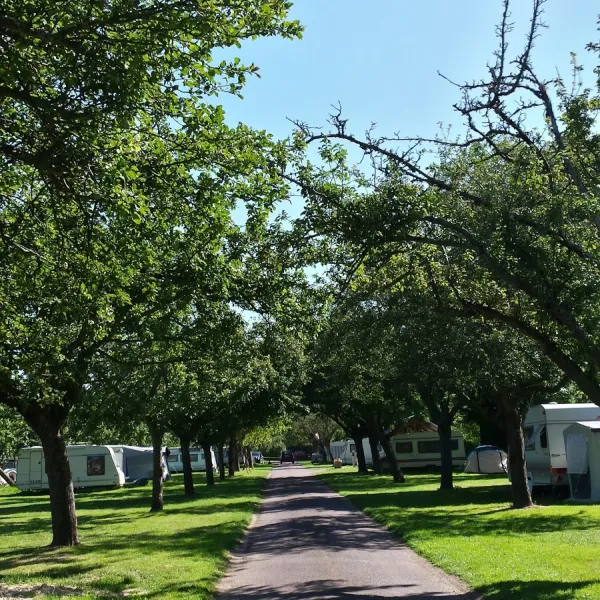 camping-aire-naturelle-de-legrix-reux-nfd9a