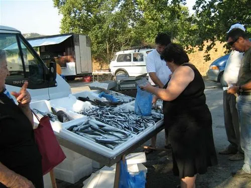 camping-aegeas-agiokambos-eof8g