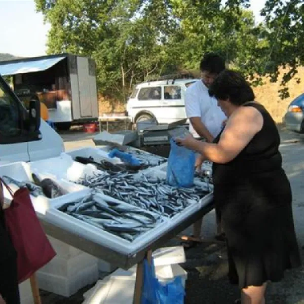 camping-aegeas-agiokambos-eof8g
