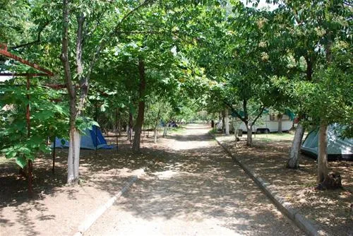 camping-aegeas-agiokambos-ur0gk