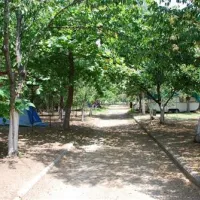 camping-aegeas-agiokambos-ur0gk