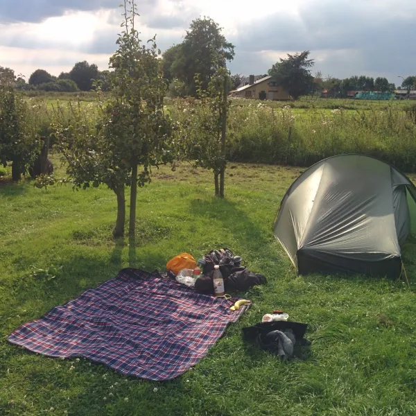 het-spikkerdal-asenray-swmwn