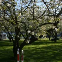 lofthus-camping-lofthus-am1ul