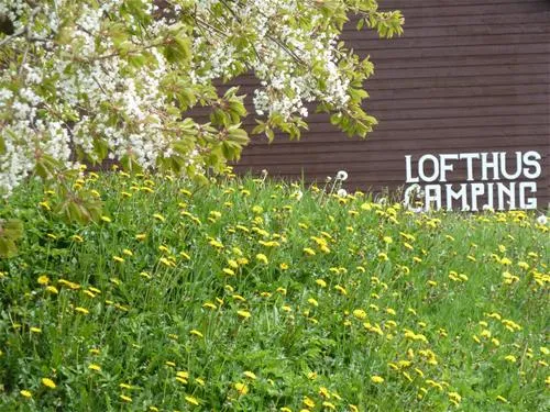 lofthus-camping-lofthus-mvn67