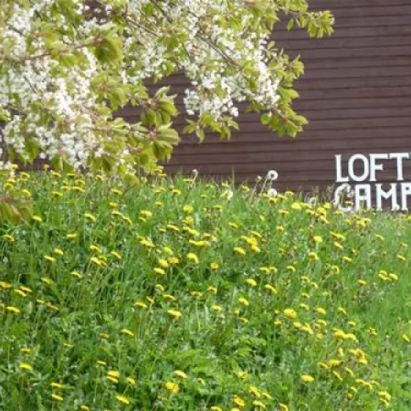 lofthus-camping-lofthus-mvn67