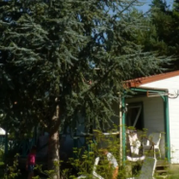flower-camping-la-pibola-camon-ou6wr