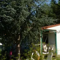 flower-camping-la-pibola-camon-ou6wr