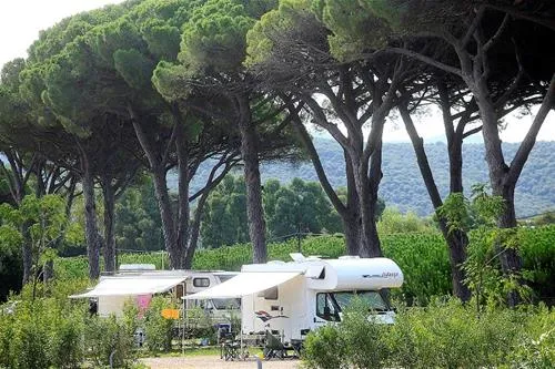 podere-pianetti-donoratico-tglvg
