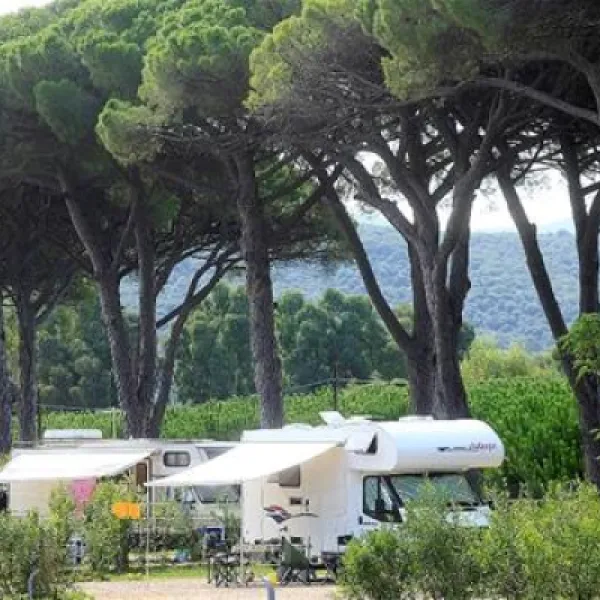 podere-pianetti-donoratico-tglvg