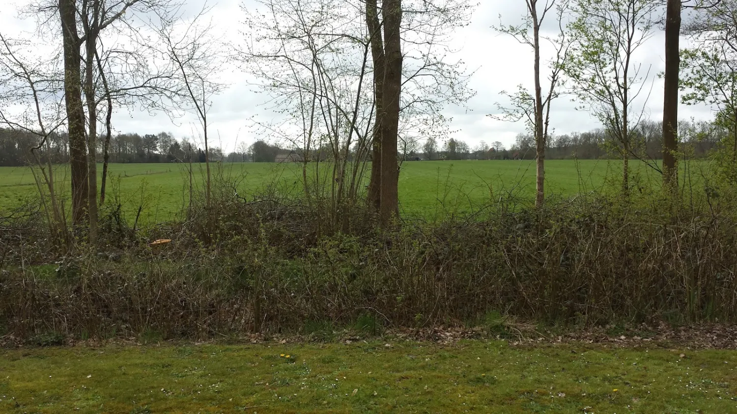 camping-klaverakker-oosterstreek-m4dil