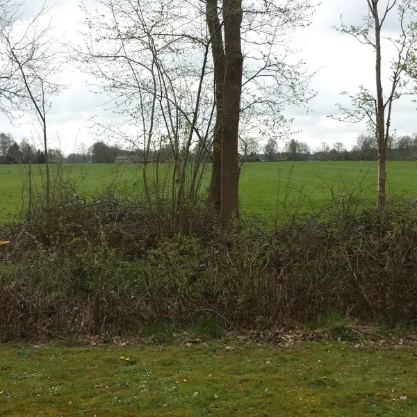 camping-klaverakker-oosterstreek-m4dil