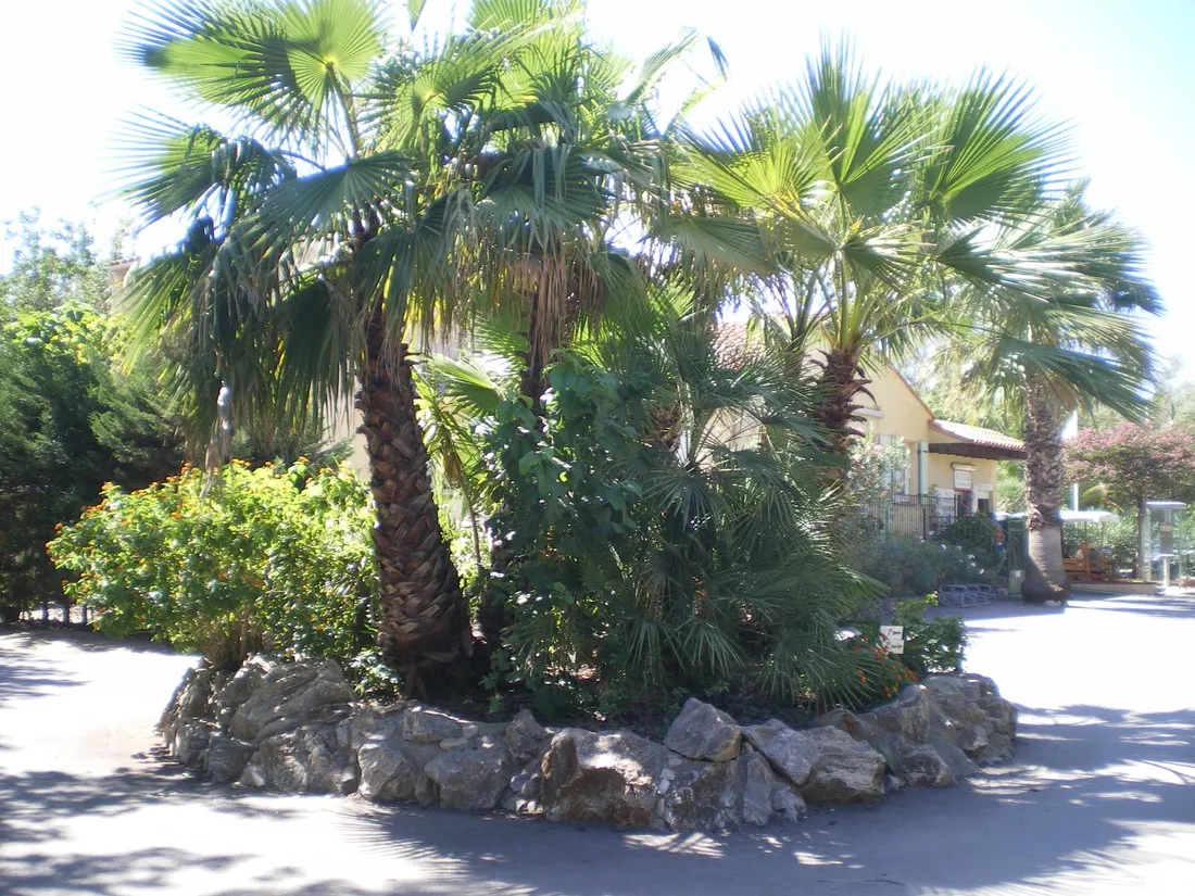 camping-parisroussillon-argeles-sur-mer-gxuhw