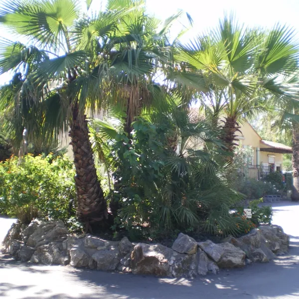 Camping Paris-roussillon  