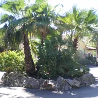 camping-parisroussillon-argeles-sur-mer-gxuhw