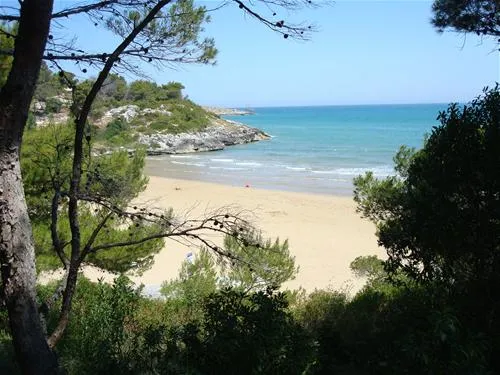campeggio-punta-lunga-vieste-del-gargano-yfzr4