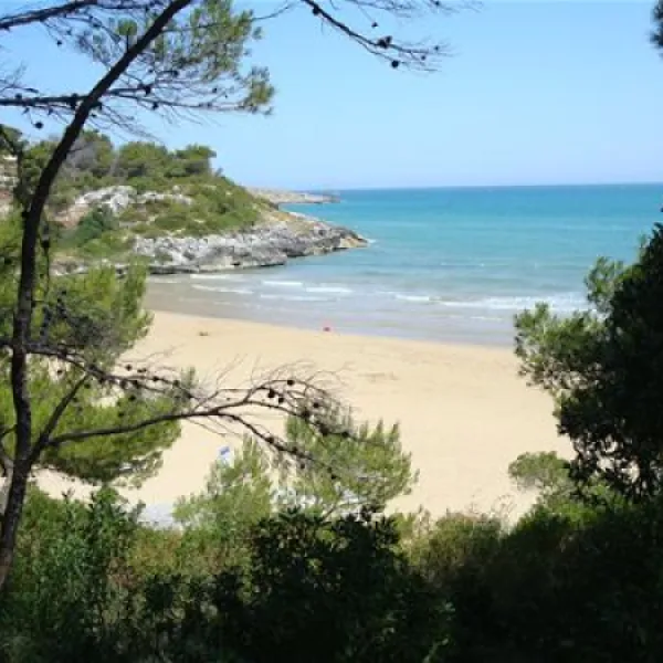 campeggio-punta-lunga-vieste-del-gargano-yfzr4