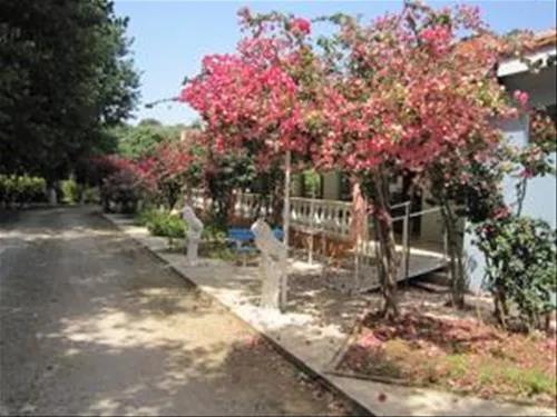 camping-village-kalamitsi-beach-preveza-q6rkn