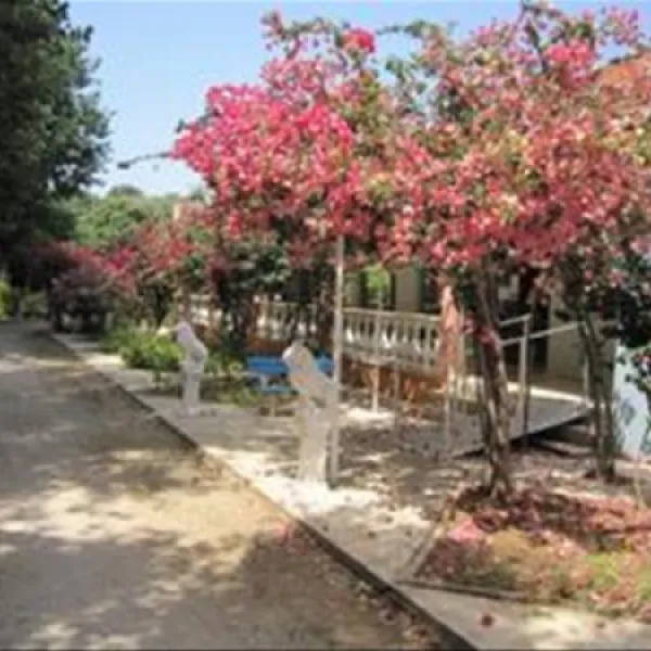 Camping Village Kalamitsi Beach