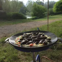camping-bellerive-montfrin-l6mro