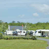 delamont-country-park-killyleagh-iqq0g