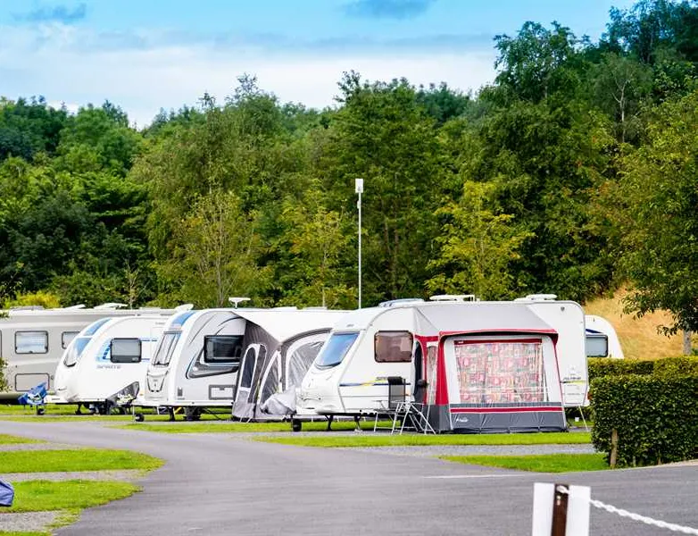delamont-country-park-killyleagh-zpk84