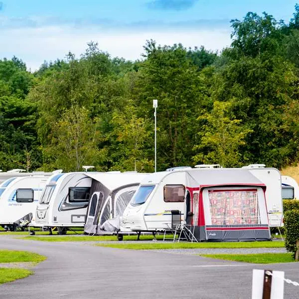 delamont-country-park-killyleagh-zpk84