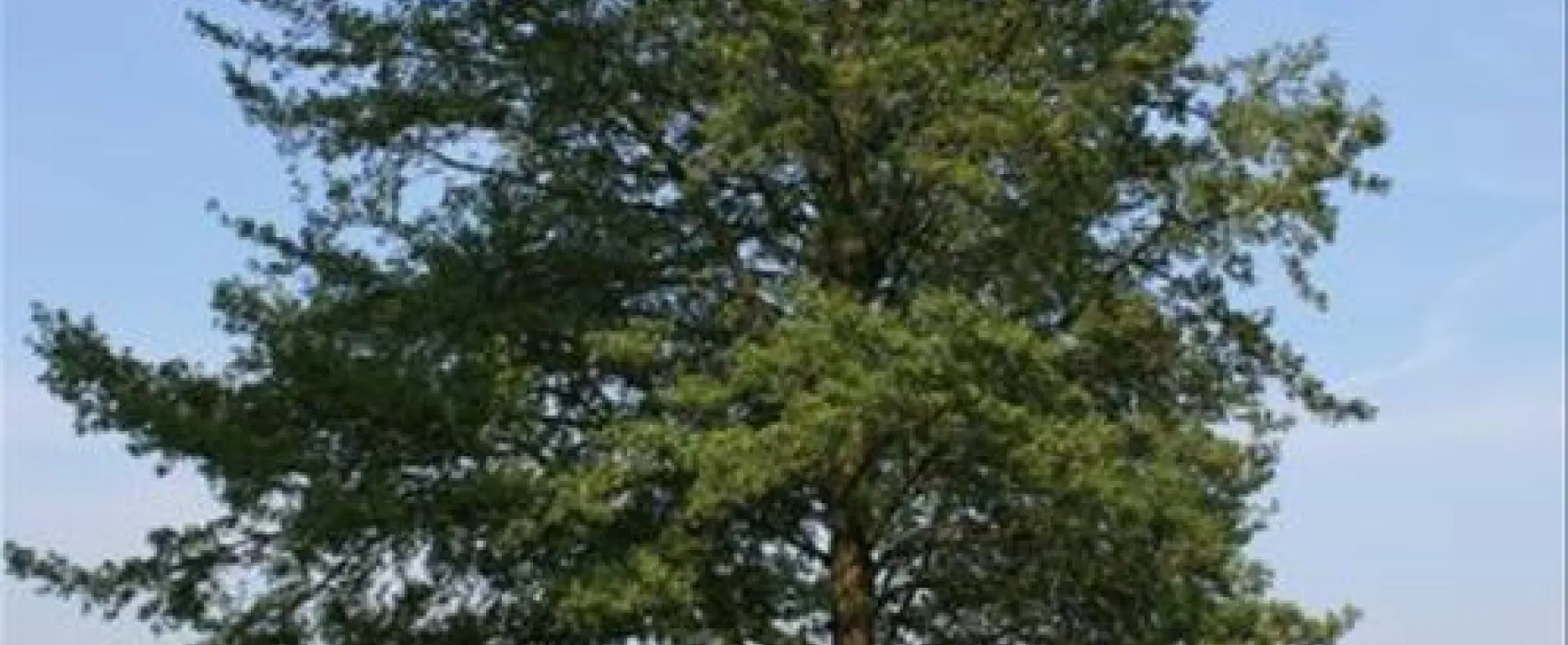 Camping Seeblick