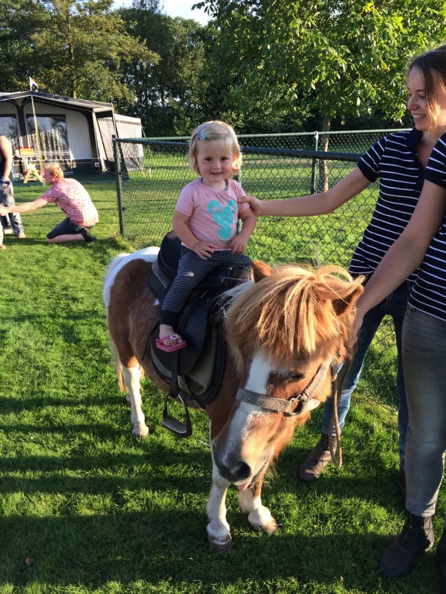 camping-de-weeltenkamp-teuge-gldiw