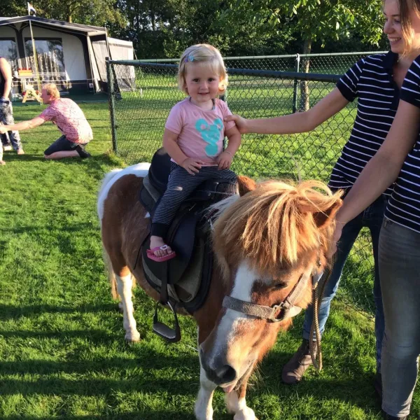 camping-de-weeltenkamp-teuge-gldiw