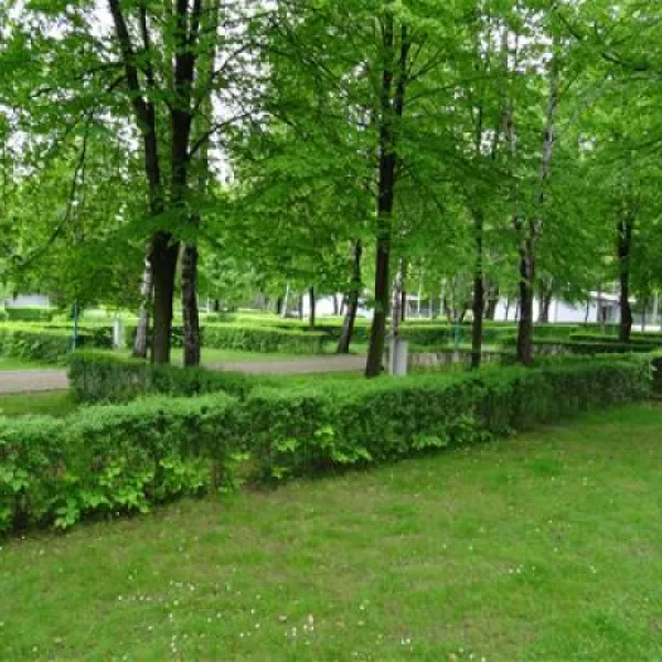 camping-camping-nr-215-katowice-fj3lb