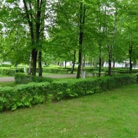 camping-camping-nr-215-katowice-fj3lb
