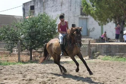 camping-playa-tropicana-alcossebre-47mgj