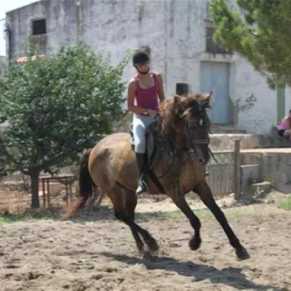 camping-playa-tropicana-alcossebre-47mgj