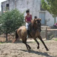 camping-playa-tropicana-alcossebre-47mgj