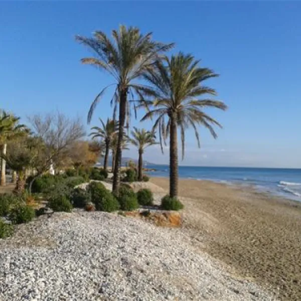 camping-playa-tropicana-alcossebre-4x8qh
