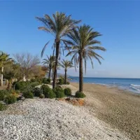 camping-playa-tropicana-alcossebre-4x8qh