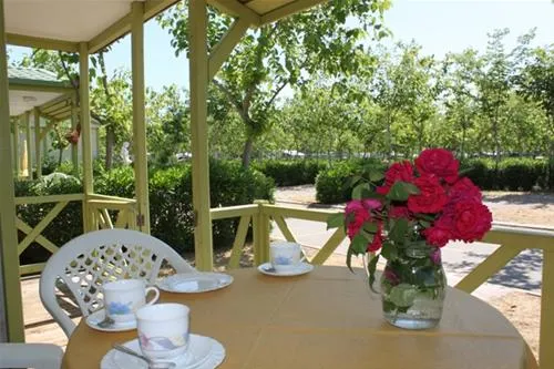 camping-playa-tropicana-alcossebre-dlzlw