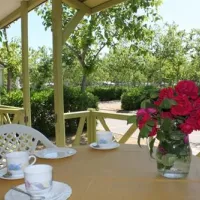 camping-playa-tropicana-alcossebre-dlzlw